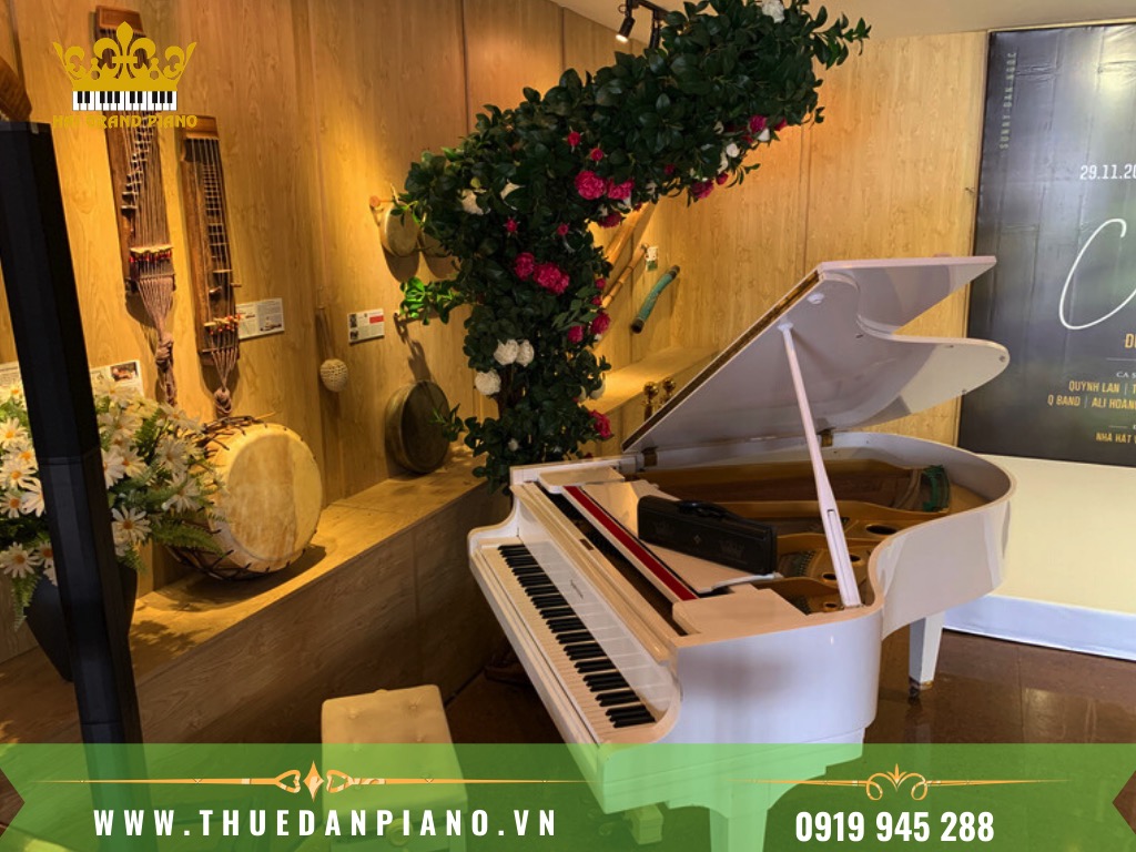 THUE-DAN-PIANO-BIEU-DIEN-RA-MAT-MV_004