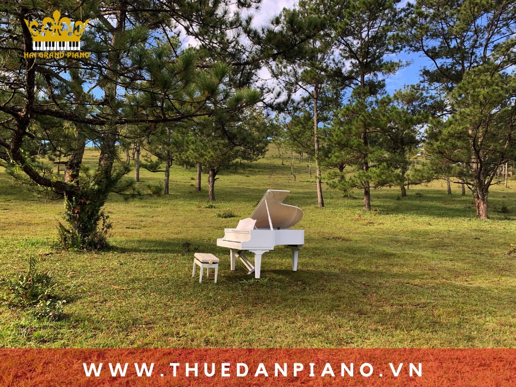 thue-piano-quay-mv-da-lat_001
