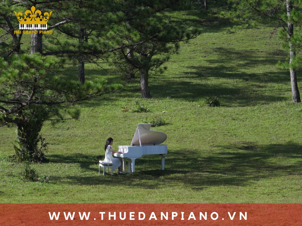 thue-piano-quay-mv-da-lat_003