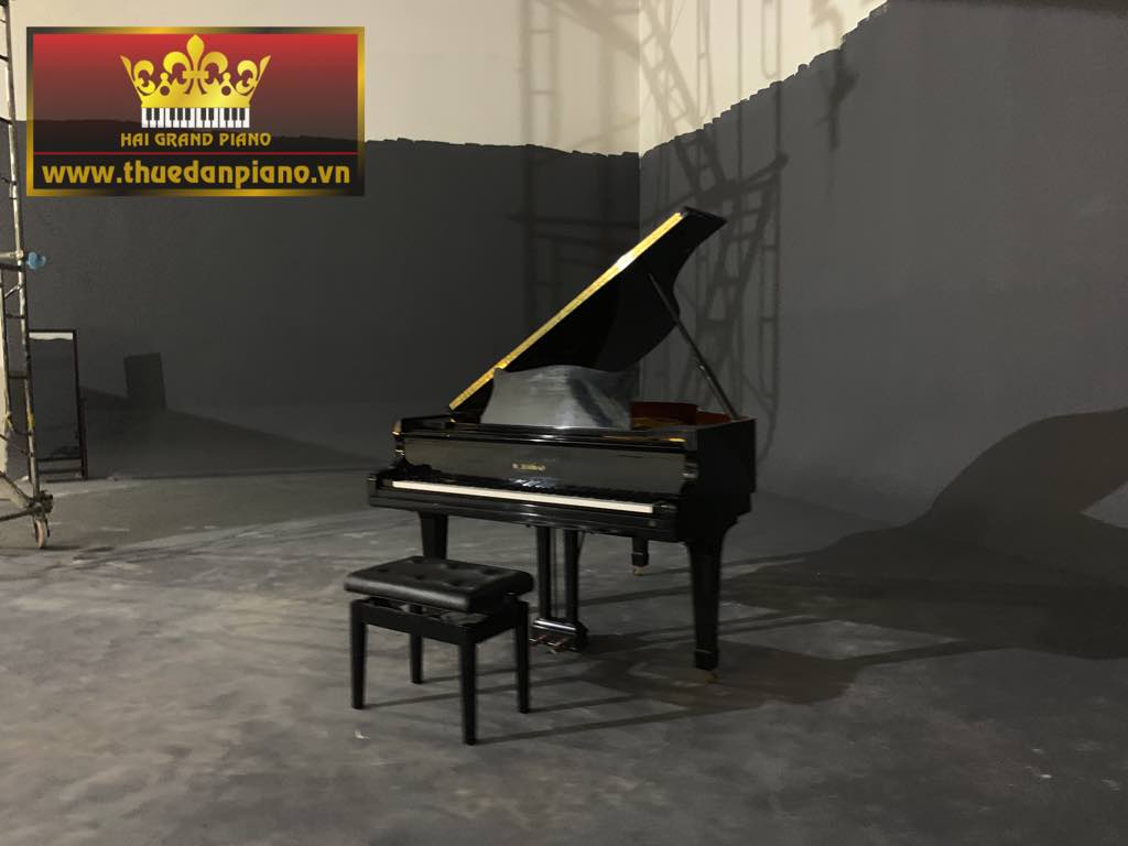 thue dan piano quay mv -10