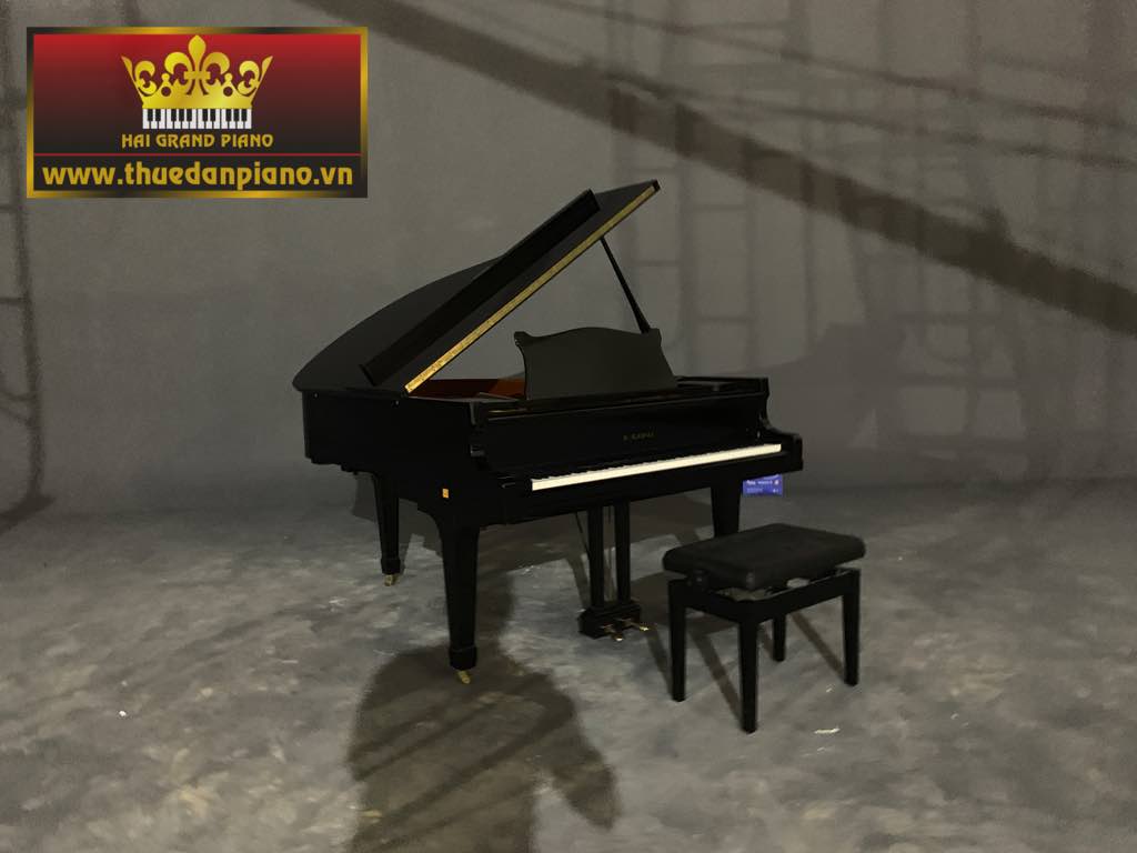 thue dan piano quay mv -12