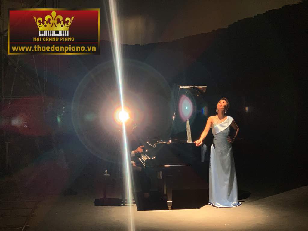 thue dan piano quay mv -6