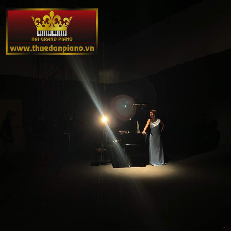 thue dan piano quay mv -8