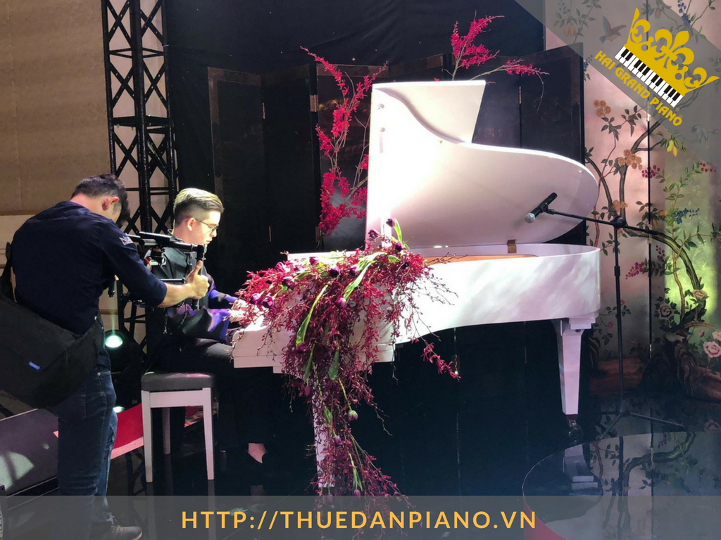 thue-dan-grand-piano-65