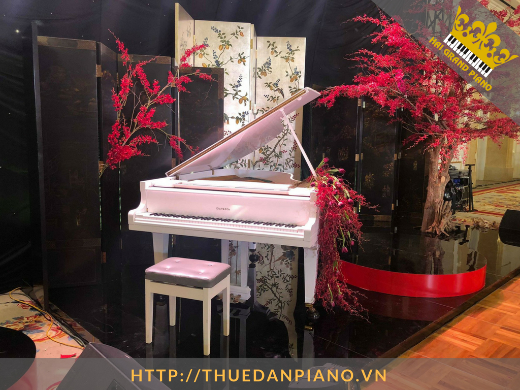 thue-dan-grand-piano-67