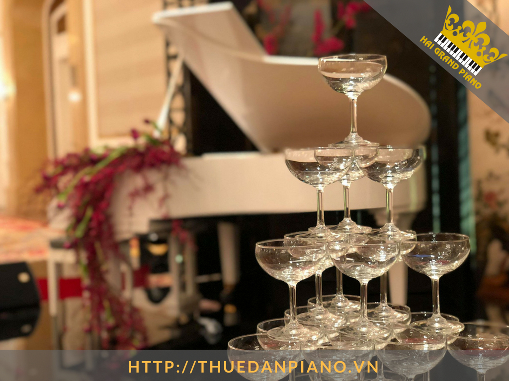 thue-dan-grand-piano-69