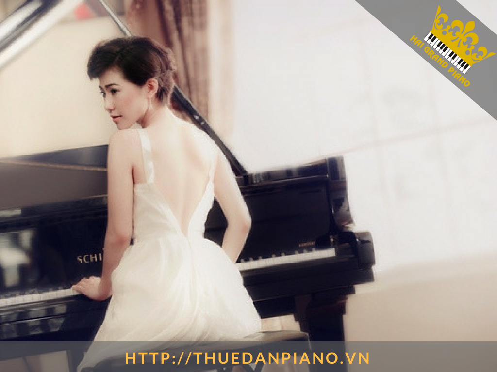 cho-thue-dan-piano-luong-bich-huu-2