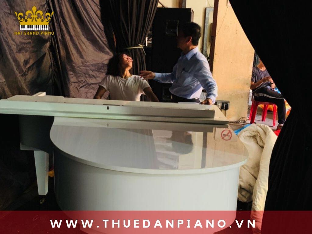 thue-dan-piano-nghe-si