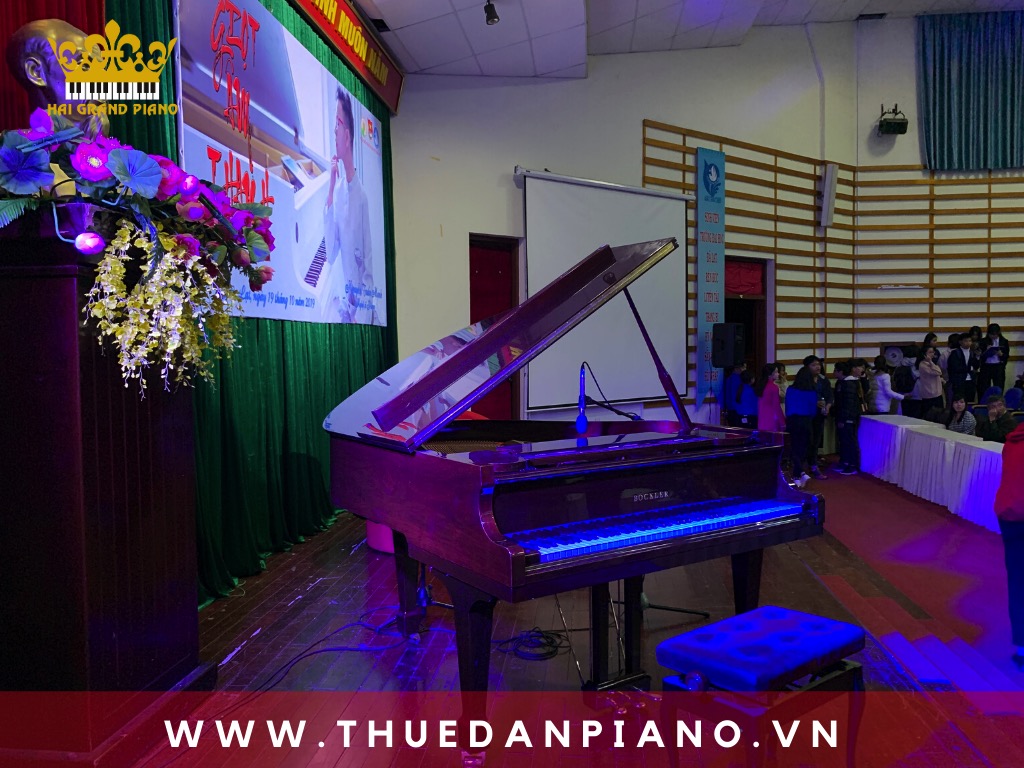 thue-piano-bieu-dien-nghe-si