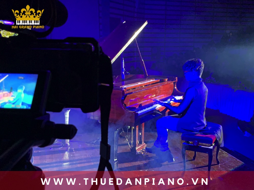 thue-piano-bieu-dien-nghe-si_002