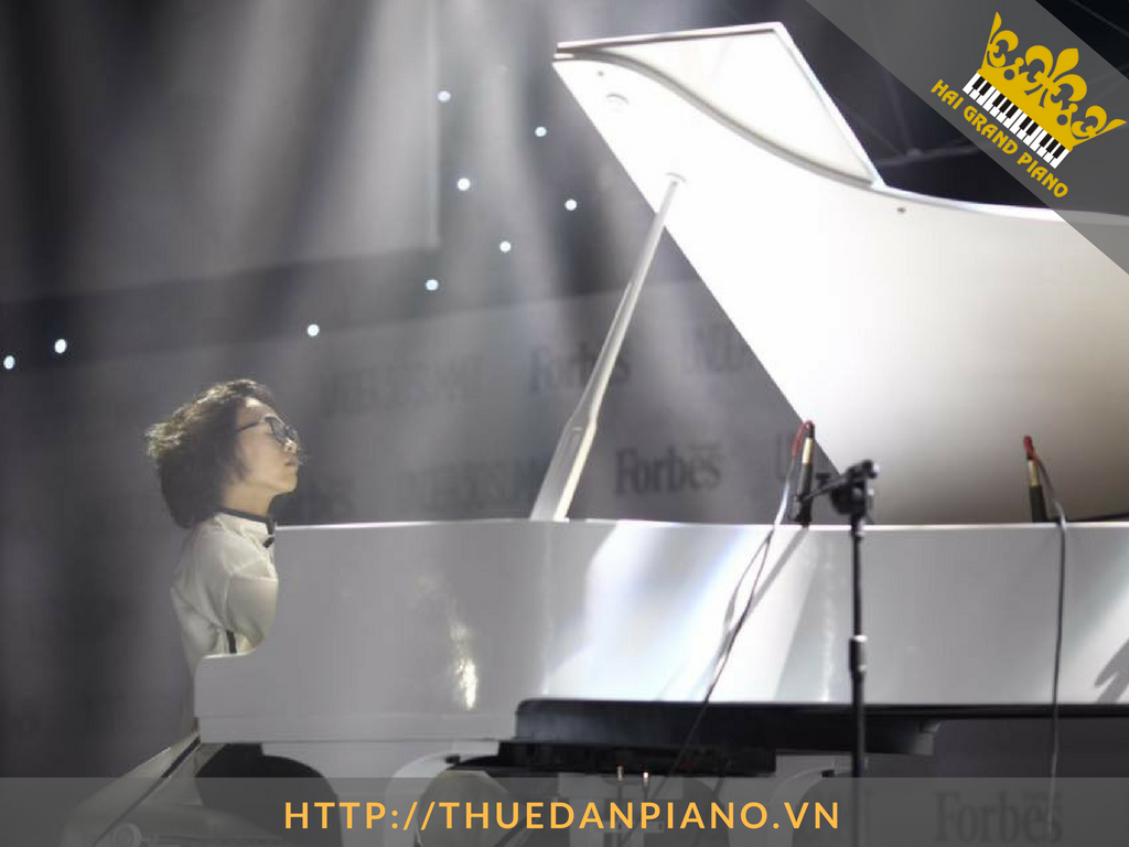cho-thue-dan-piano-tuan-manh-5