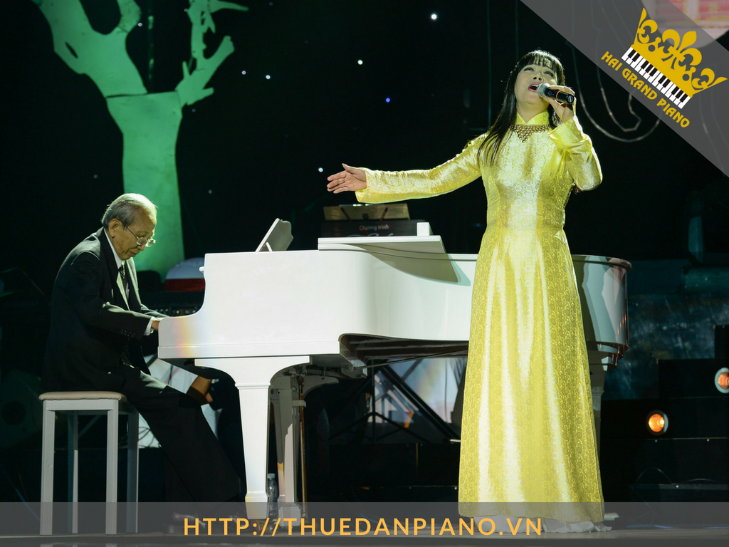 cho-thue-dan-piano-nghe-si-12