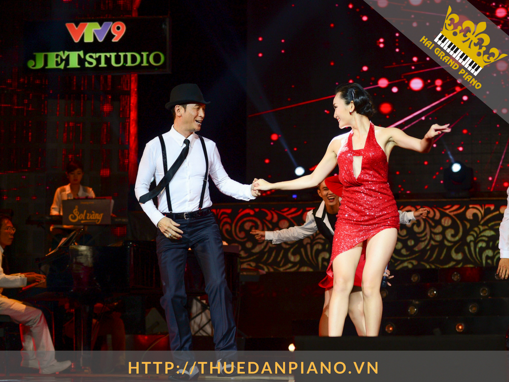 cho-thue-dan-piano-nghe-si-17
