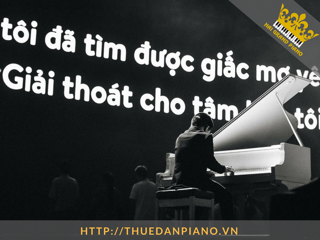 cho-thue-dan-piano-nghe-si-19