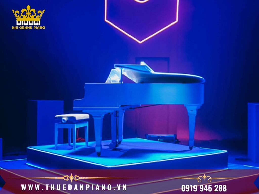 thue-piano-nghe-si-2