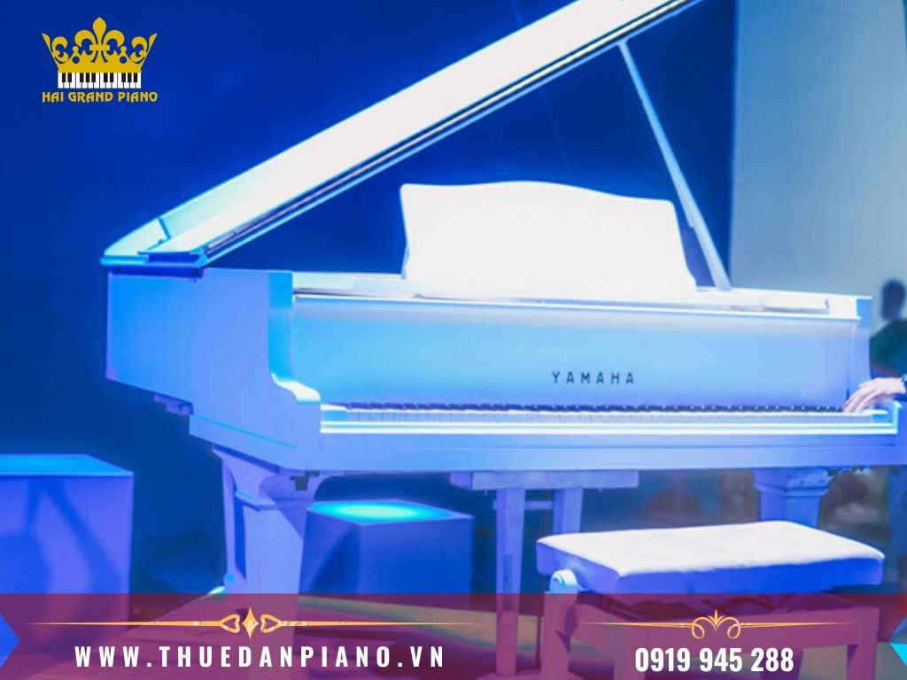 thue-piano-nghe-si-4