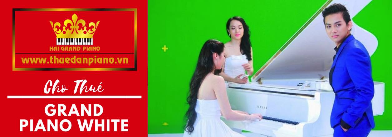 cho-thue-piano-white