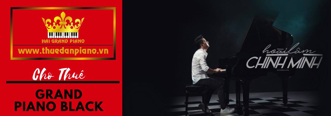 thue-dan-grand-piano
