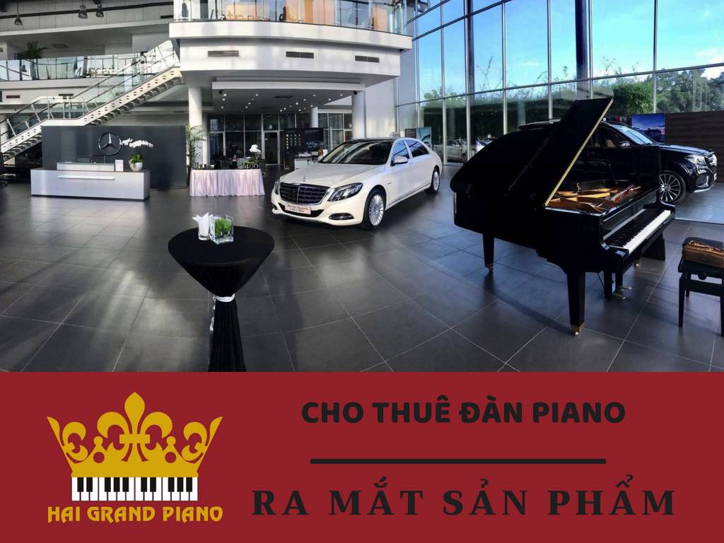 thue-dan-piano-ra-mat-san-pham