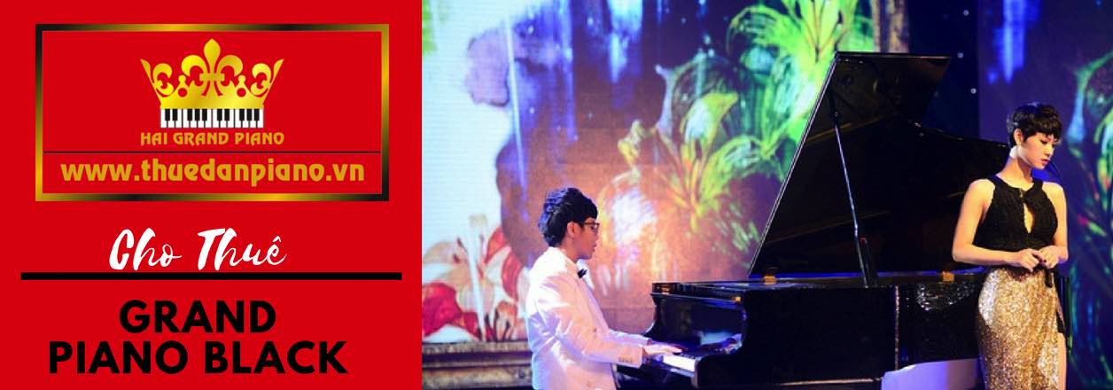 thue-dan-piano
