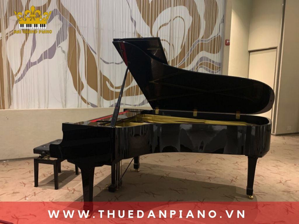 thue-dan-piano-tiec-cuoi_001