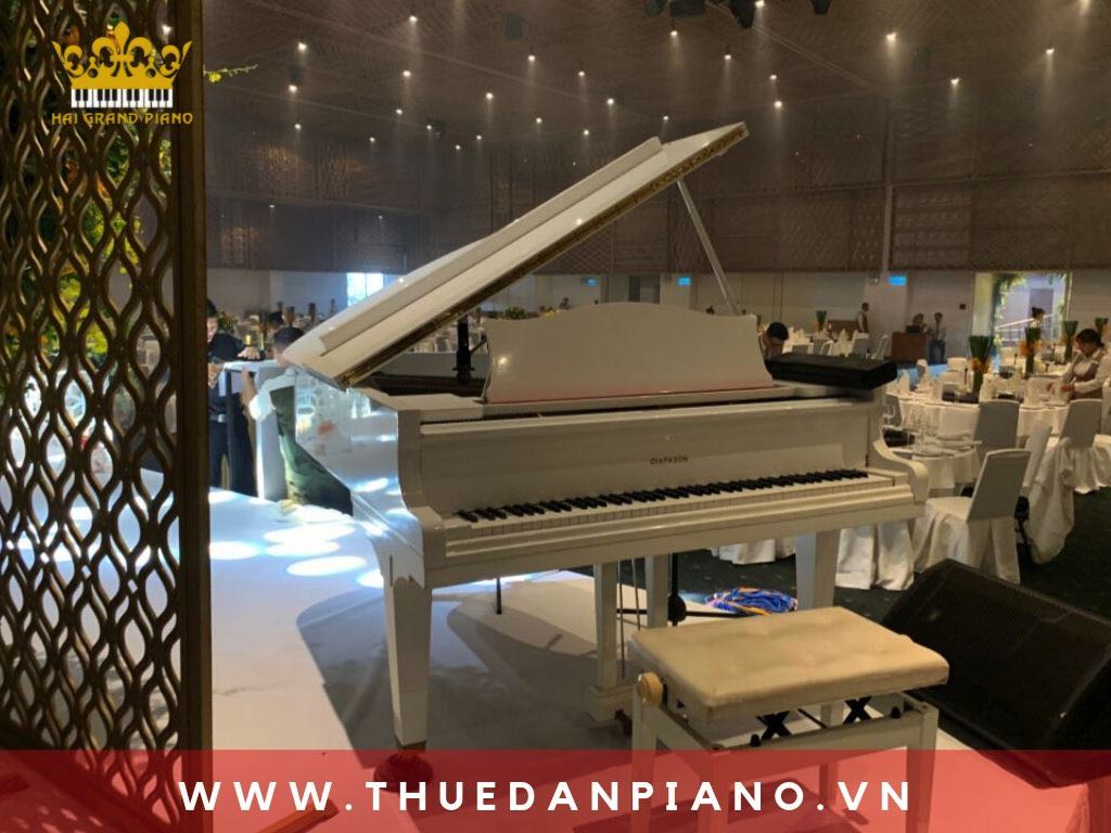 thue-piano-tiec-cuoi-quan-1