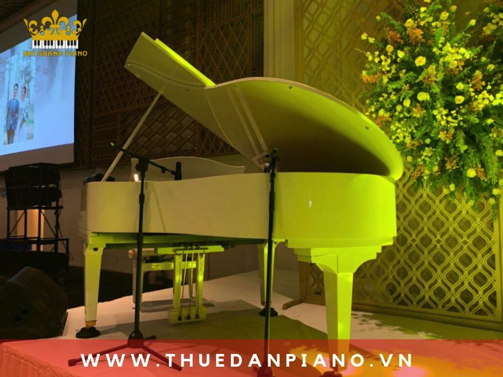 thue-piano-tiec-cuoi-quan-1_002
