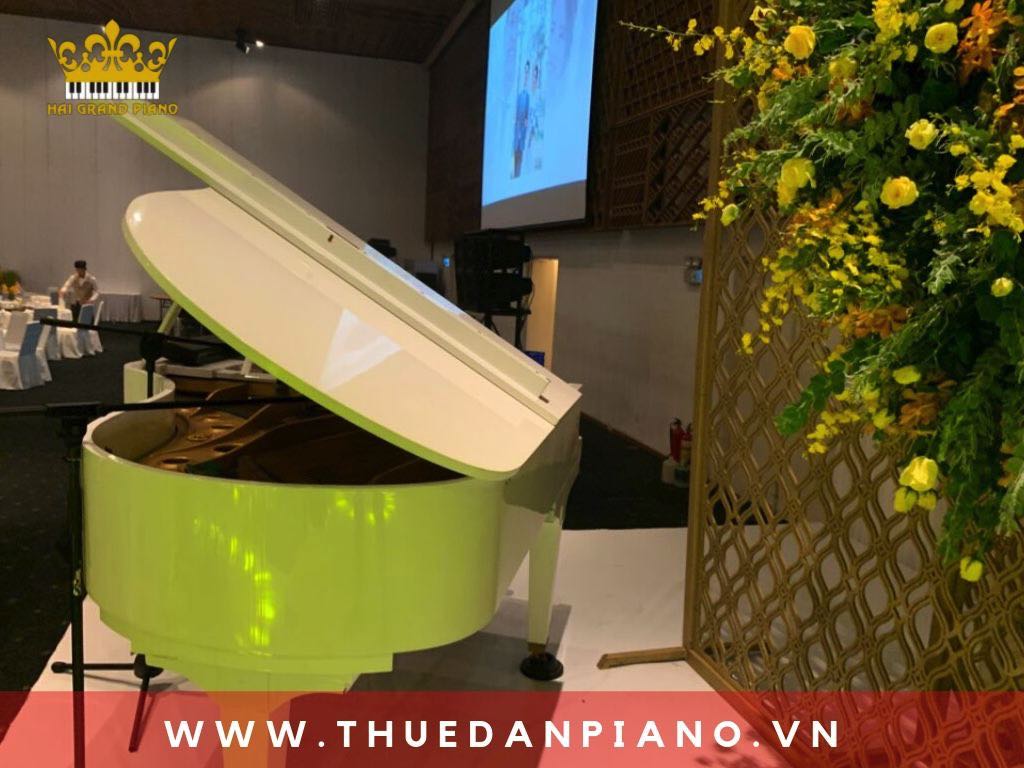 thue-piano-tiec-cuoi-quan-1_003