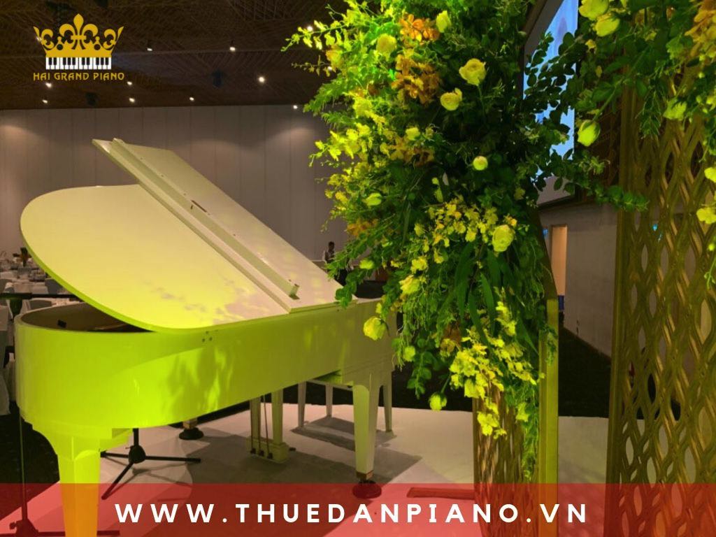 thue-piano-tiec-cuoi-quan-1_004