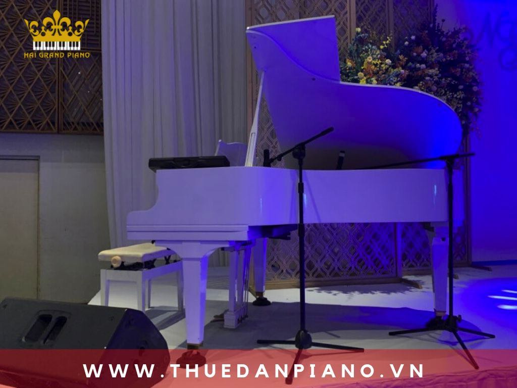 thue-piano-tiec-cuoi-quan-1_005