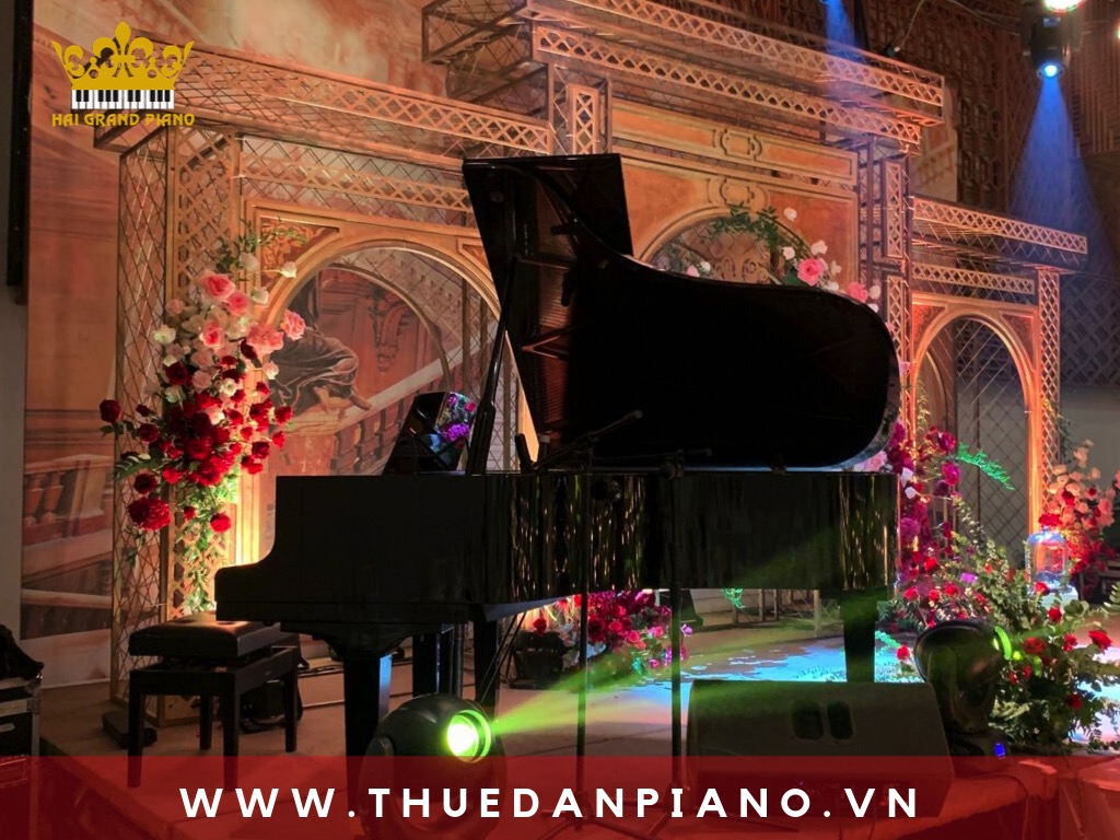 thue-dan-grand-piano-tiec-cuoi_004