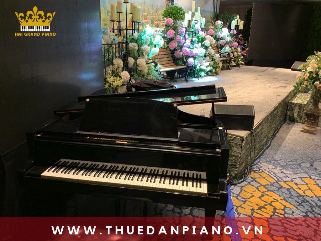 thue-piano-wedding-quan-1_003