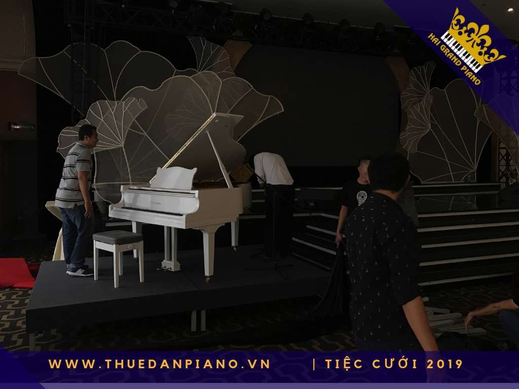 thue dan piano gia re 13