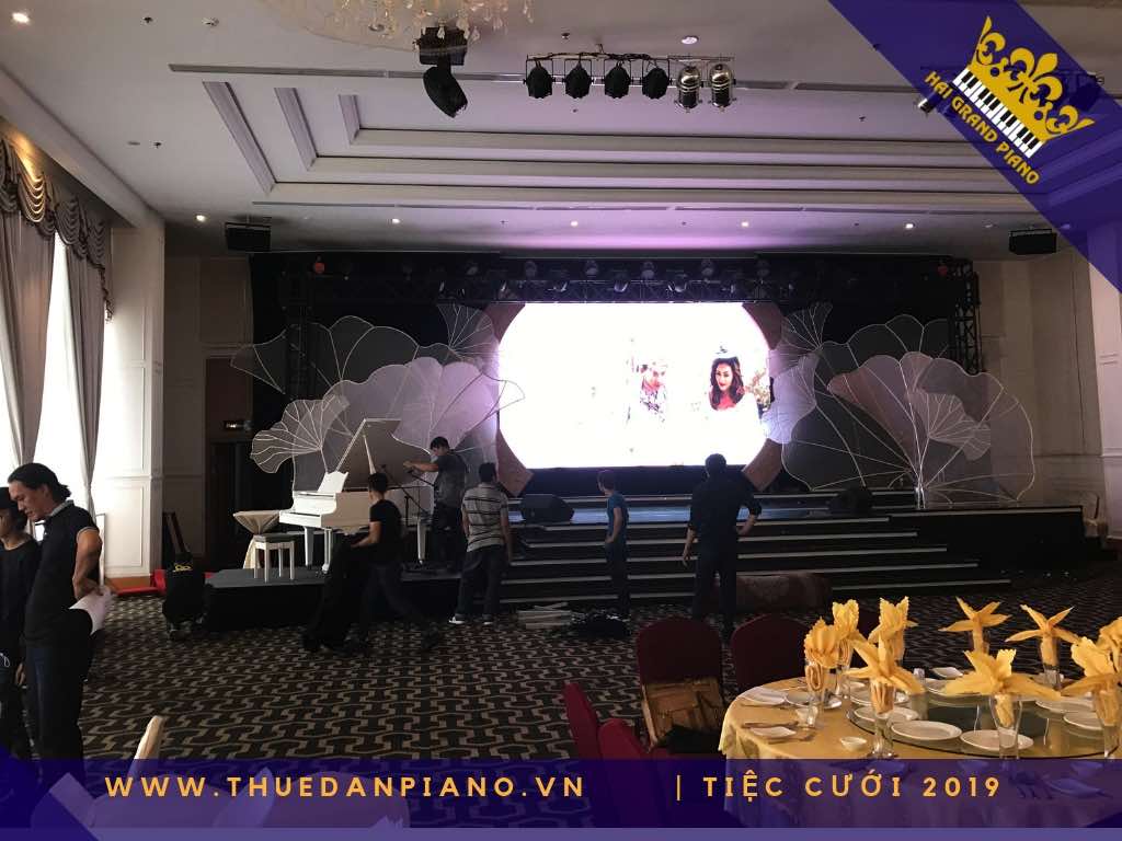 thue dan piano gia re 13_001