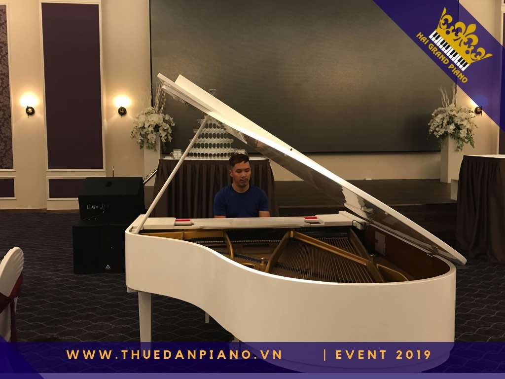 thue dan piano gia re 8_001