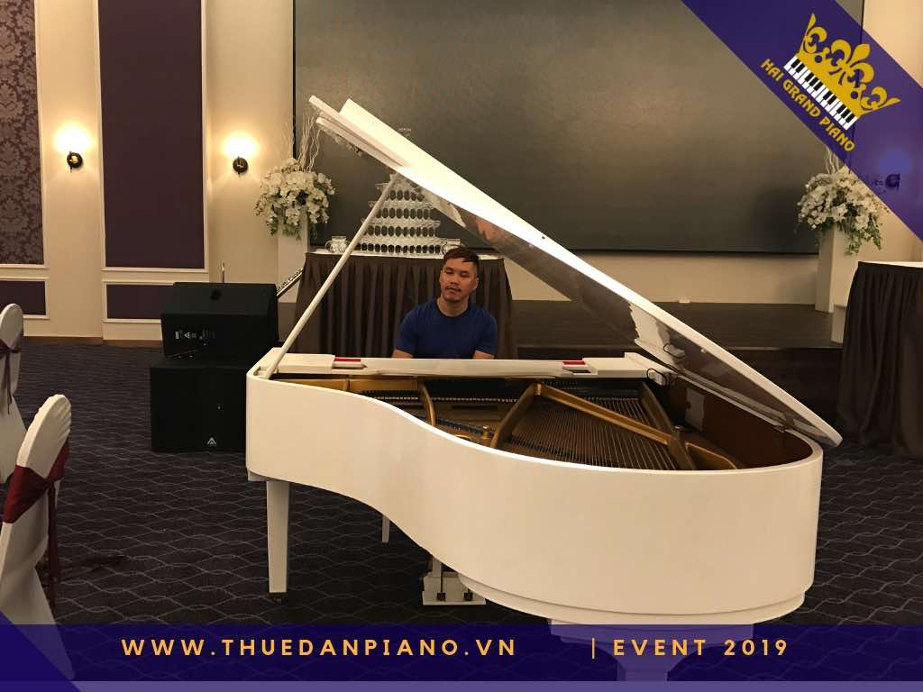 thue dan piano gia re 8_002