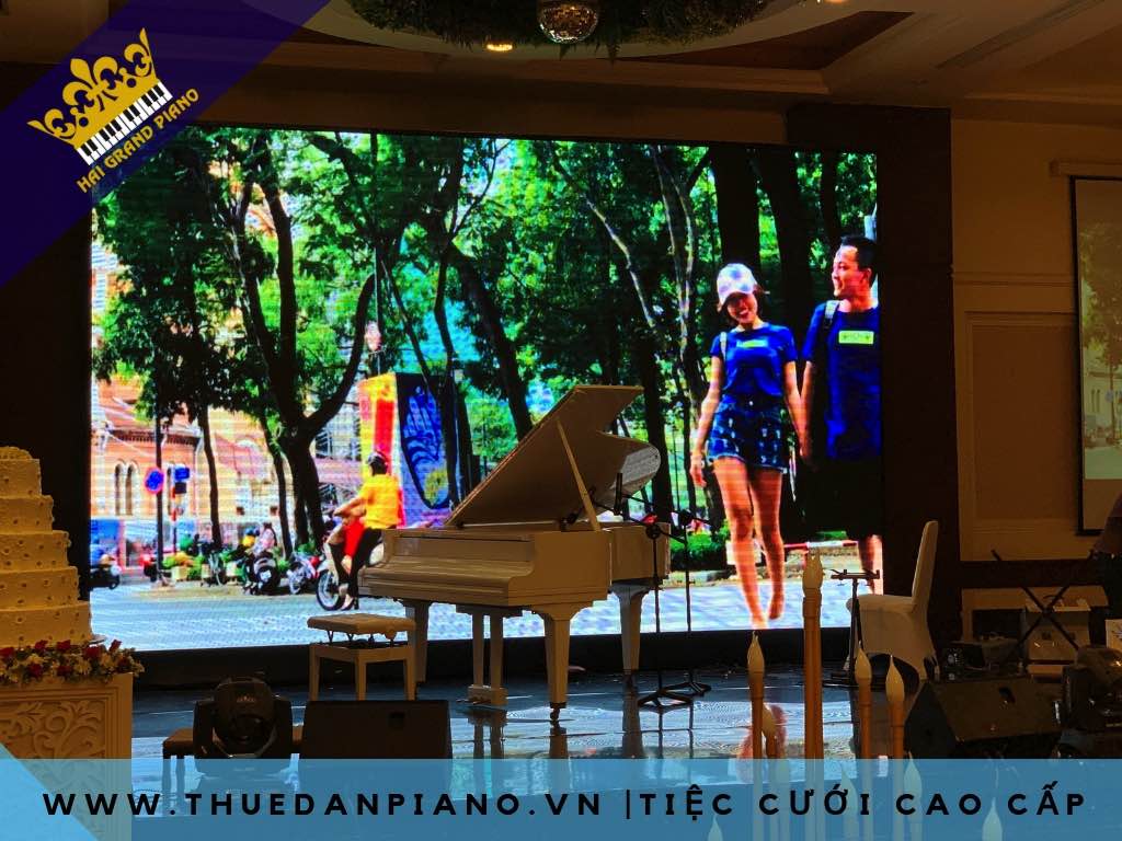 THUE-PIANO-GRAND-MAU-TRANG