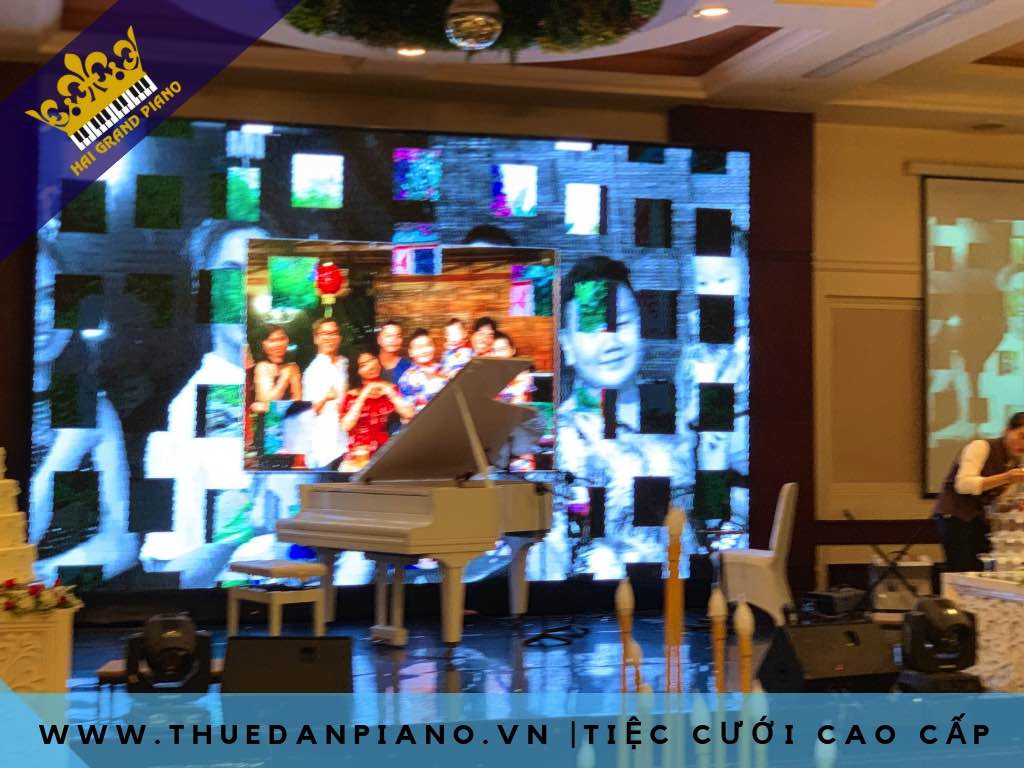 THUE-PIANO-GRAND-MAU-TRANG_002