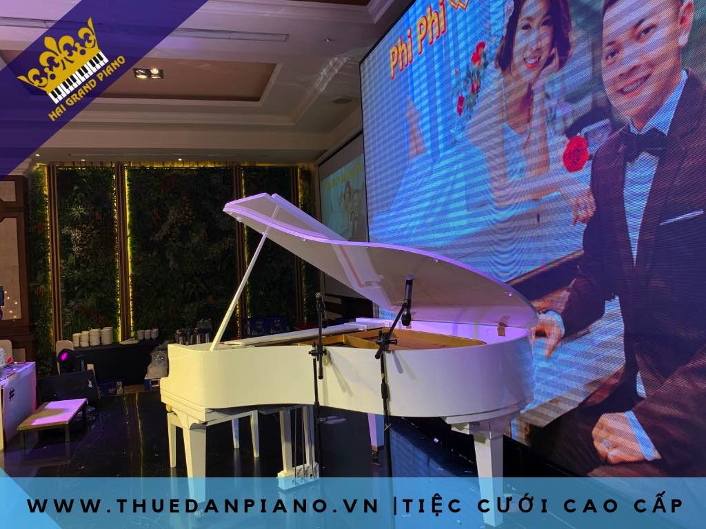 THUE-PIANO-GRAND-MAU-TRANG_003