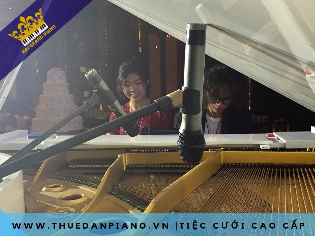 THUE-PIANO-GRAND-MAU-TRANG_006