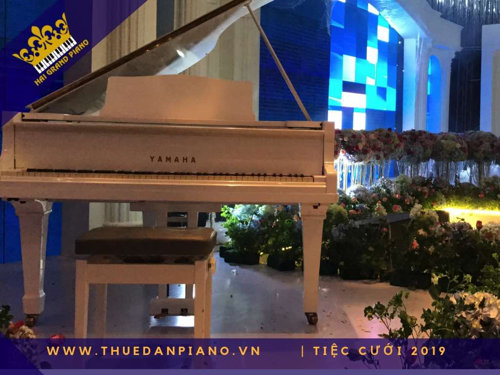 thue dan piano gia re 23_002