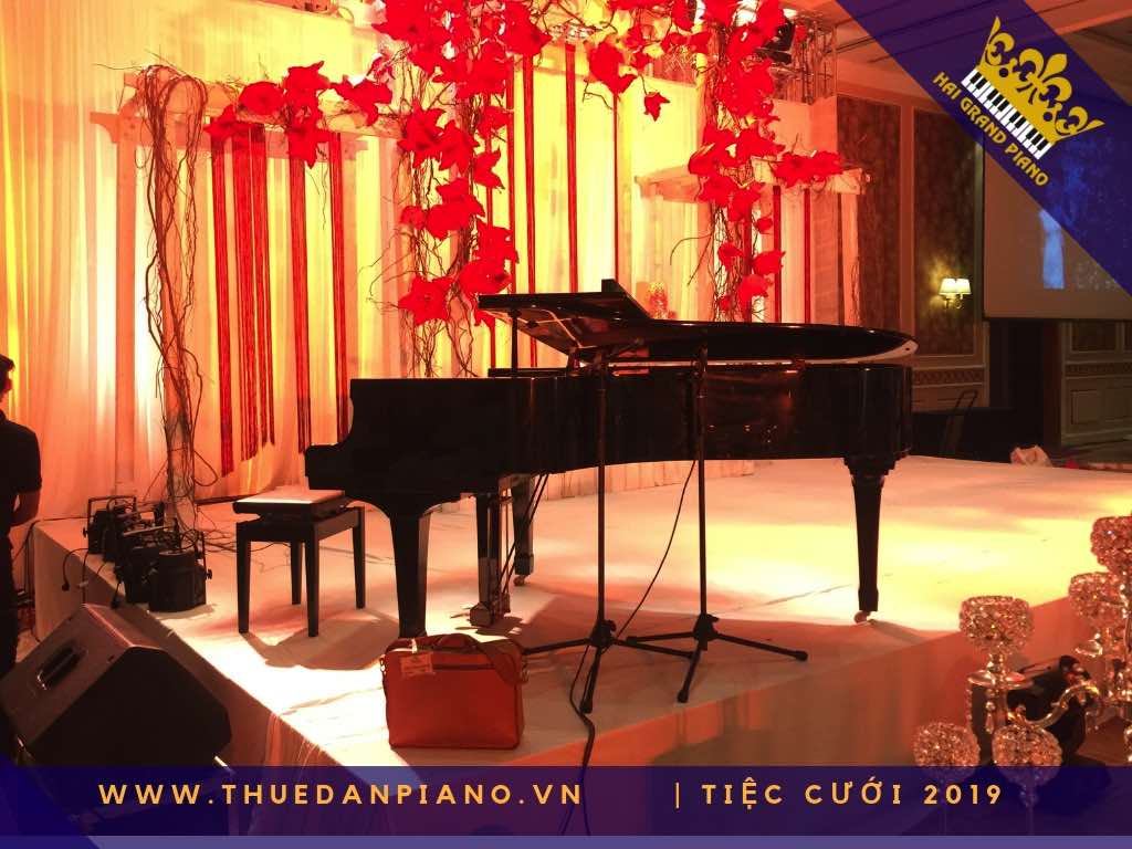 thue piano tiec cuoi cao cap q.7_001