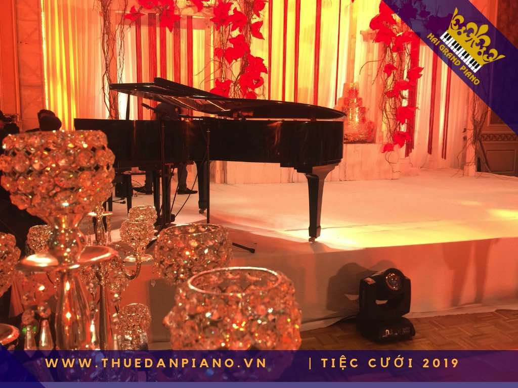 thue piano tiec cuoi cao cap q.7_002