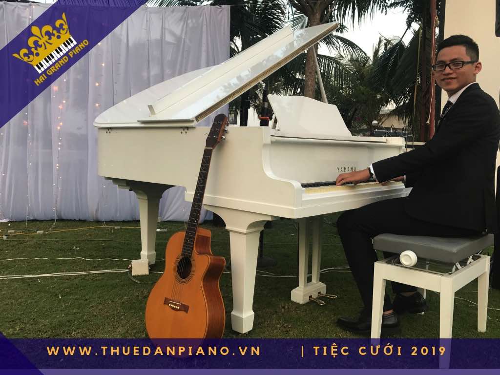 thue dan piano gia re 15_001