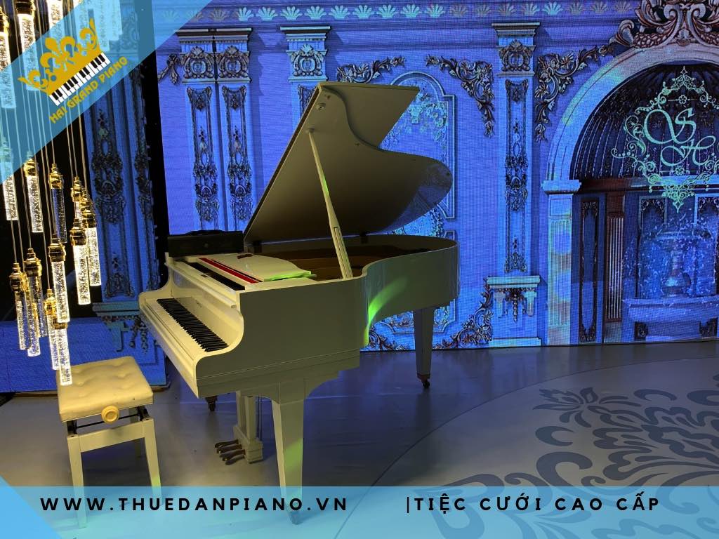 cho-thue-dan-grand-tiec-cuoi-2019