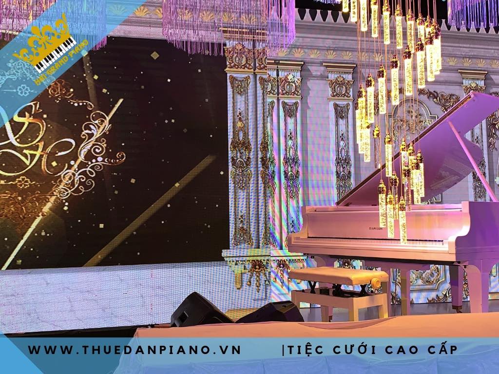 cho-thue-dan-grand-tiec-cuoi-2019_004