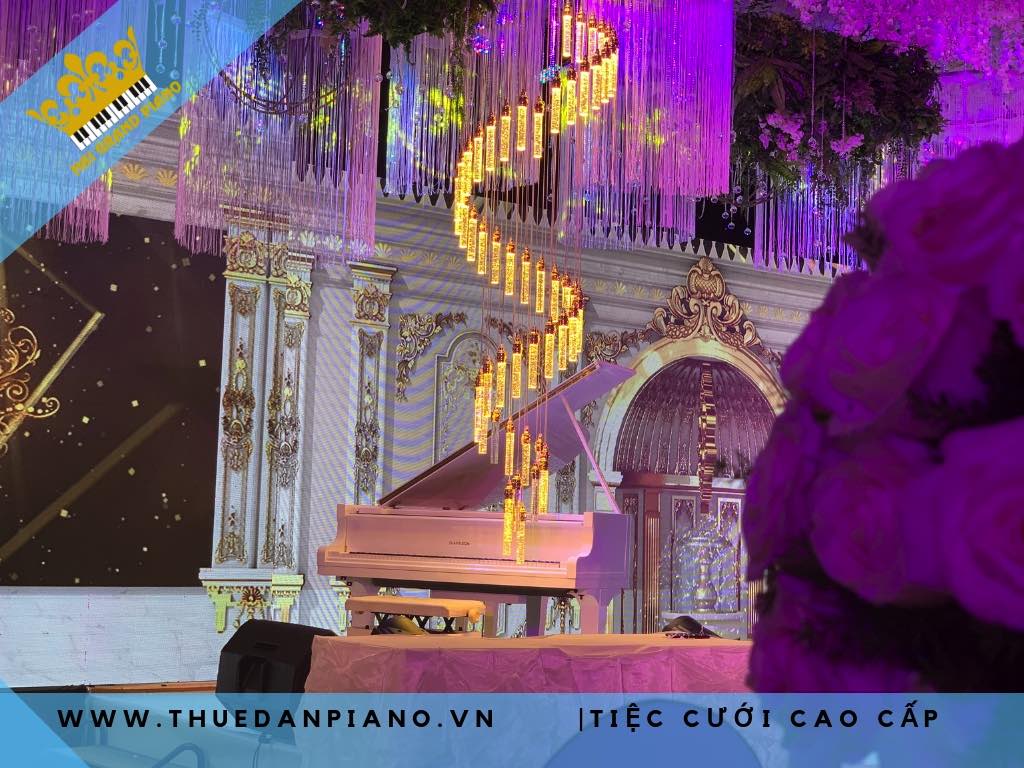 cho-thue-dan-grand-tiec-cuoi-2019_005