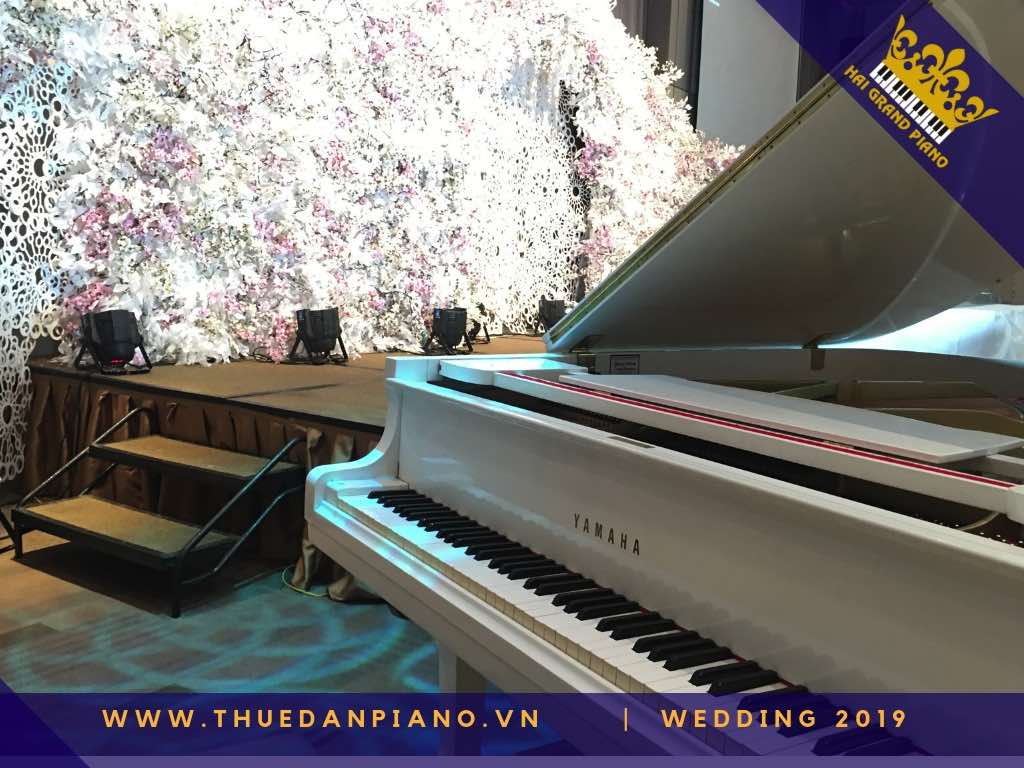 thue piano tiec cuoi q.2_005
