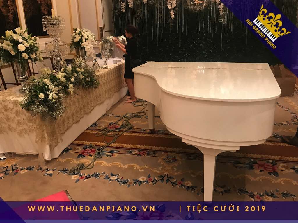 thue dan piano gia re 2