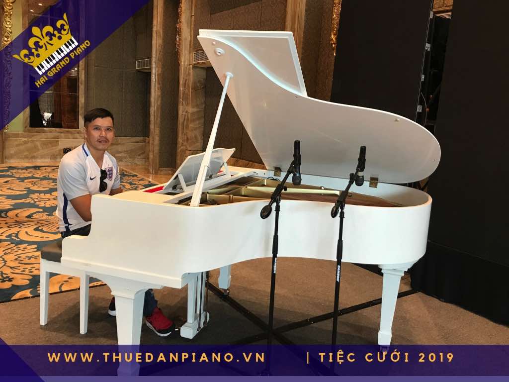 thue dan piano gia re 31